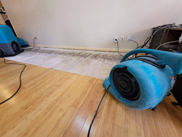 Professional Flood Damage Cleanup technician working in Carpinteria, CA